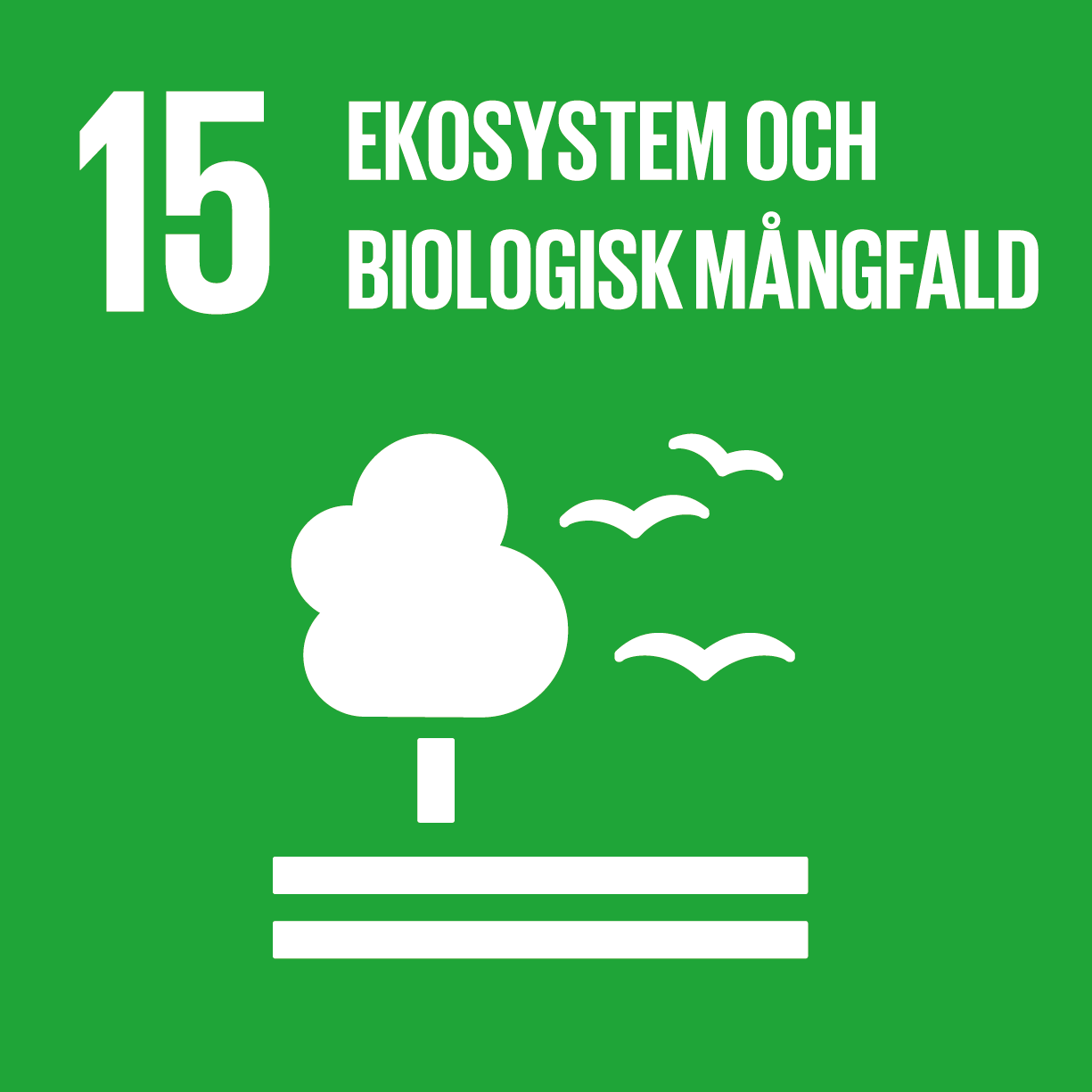 Logga för Förenta nationernas femtonde hållbarhetsmål - Ekosystem och biologisk mångfald